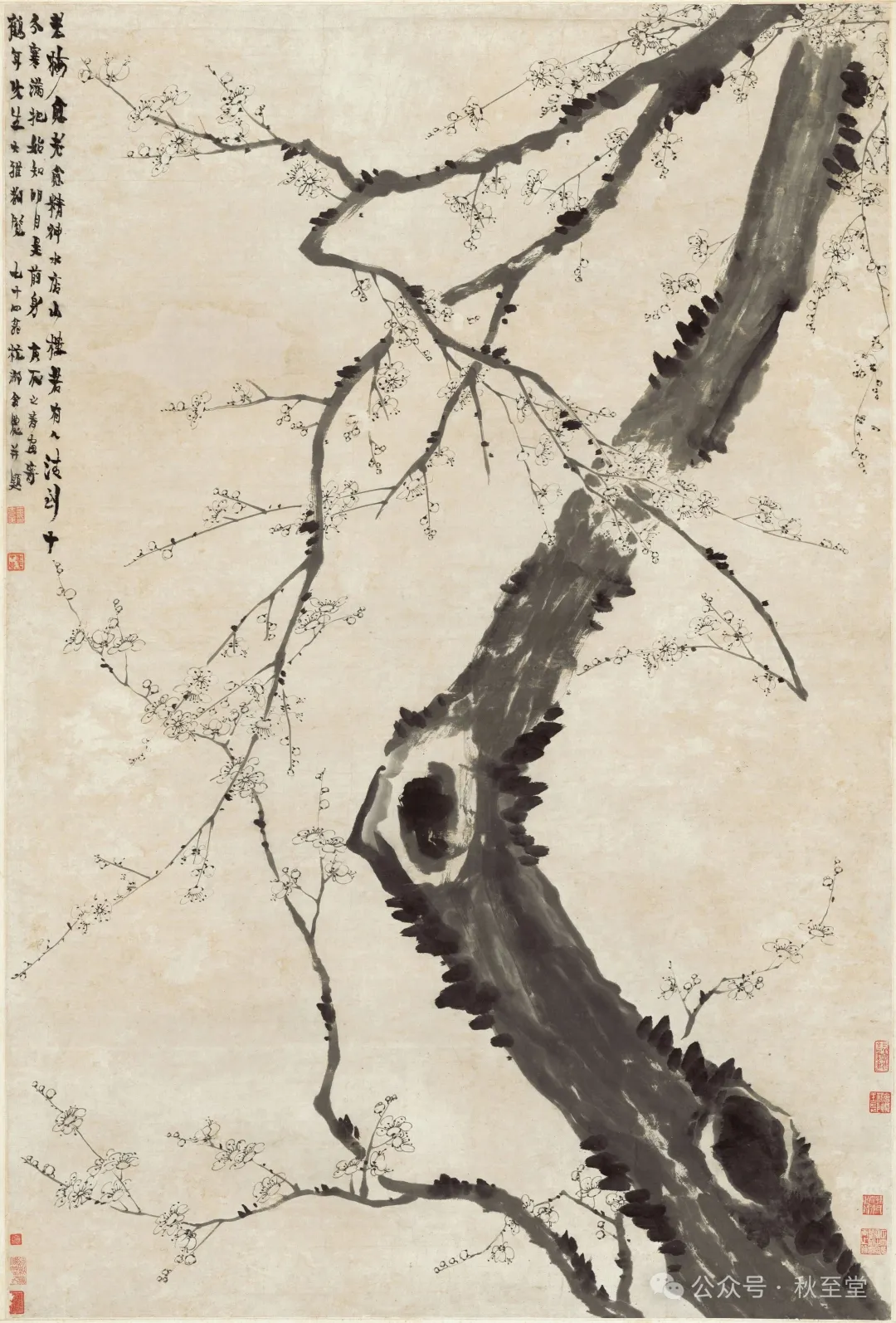 经方视角下看六淫，浅谈后世发展及补遗